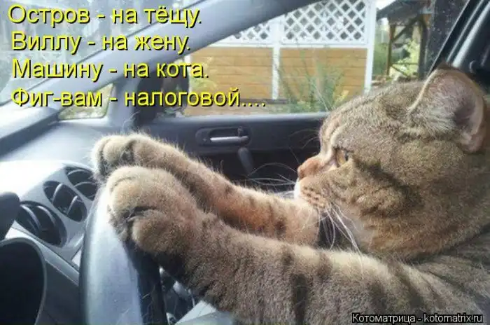 Лучшие котоматрицы недели Лучшие котоматрицы недели