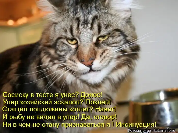 Лучшие котоматрицы недели Лучшие котоматрицы недели