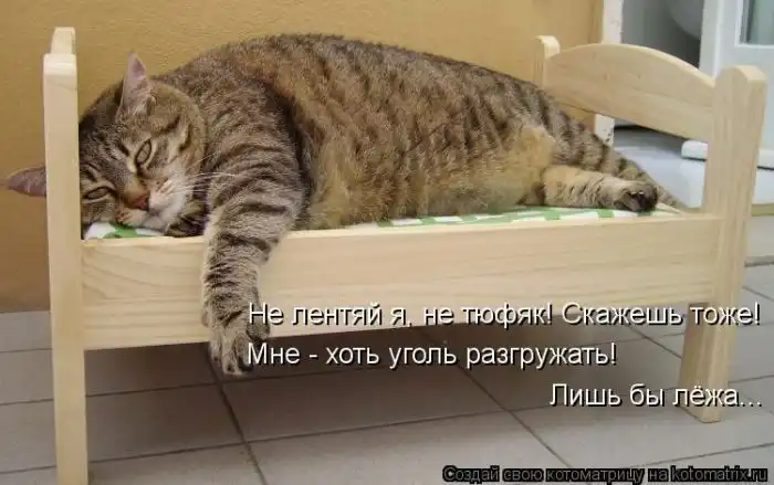 Лучшие котоматрицы недели Лучшие котоматрицы недели