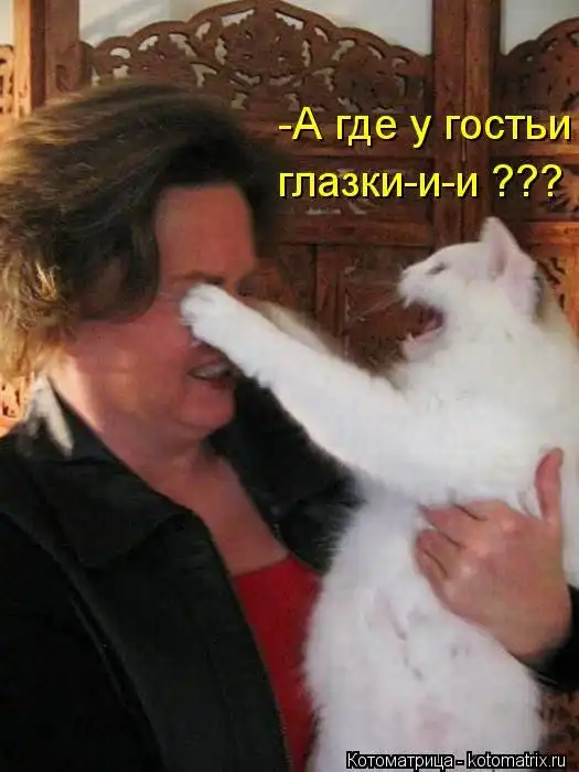 Лучшие котоматрицы недели Лучшие котоматрицы недели