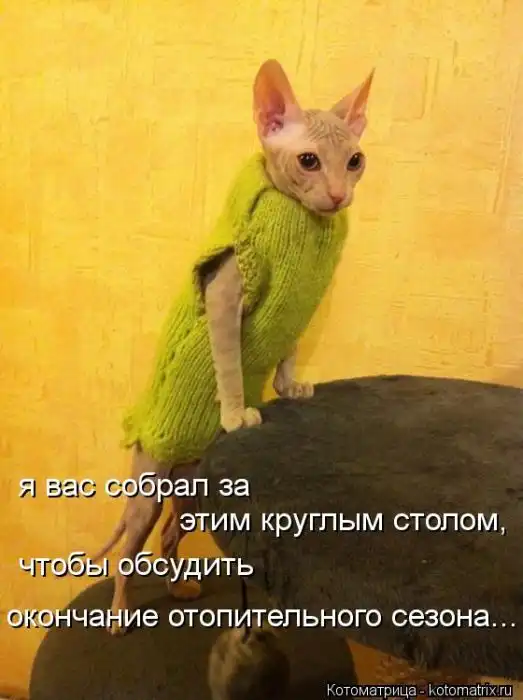 Лучшие котоматрицы недели Лучшие котоматрицы недели
