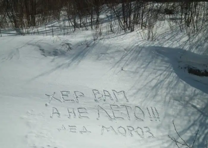 Смешные надписи Смешные надписи