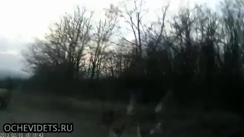 зая не плачь зая не плачь