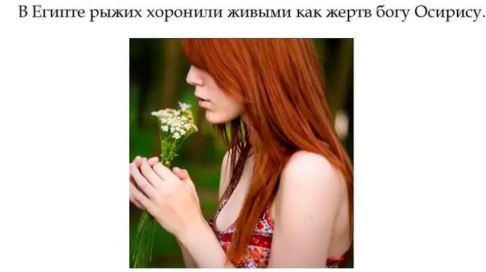 Интересные факты о людях с рыжим цветом волос Интересные факты о людях с рыжим цветом волос