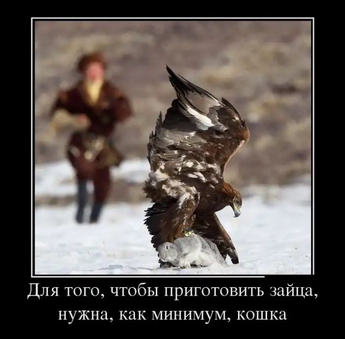 Картинки в черной рамке Картинки в черной рамке