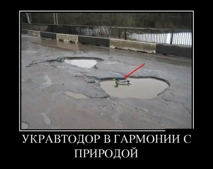 Картинки в черной рамке Картинки в черной рамке