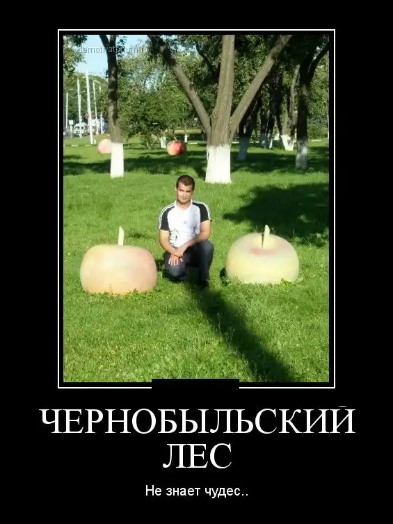 Картинки в черной рамке Картинки в черной рамке
