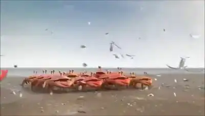 Сила единства