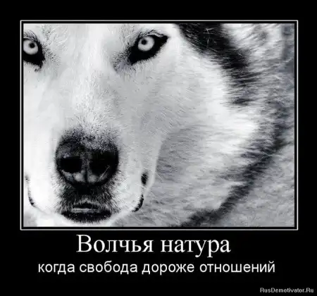 Картинко-комикс-микс