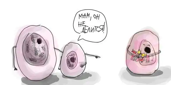 Картинко-комикс-микс