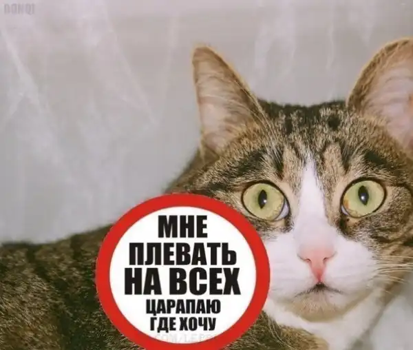 Картинко-комикс-микс