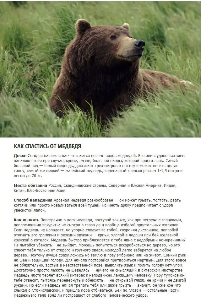 Как выжить в схватке с диким животным Как выжить в схватке с диким животным