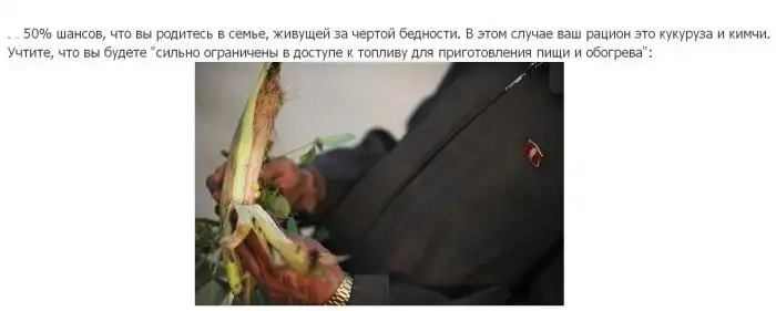 Если ли бы вы родились в Северной Корее Если ли бы вы родились в Северной Корее