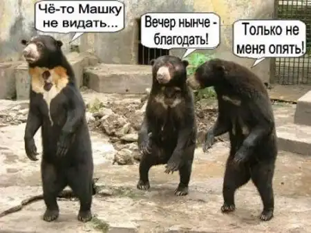 РАЗНООБРАЗНАЯ ПОДБОРКА