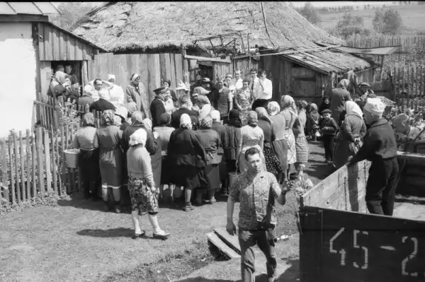Сельская свадьба в Рязанской области. 1964 г