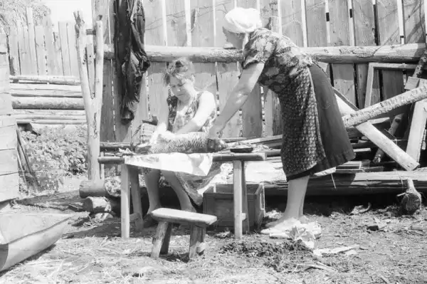 Сельская свадьба в Рязанской области. 1964 г