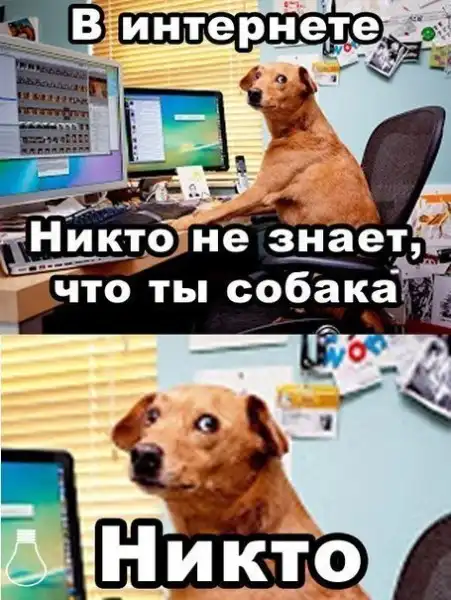Картинко-комикс-микс.