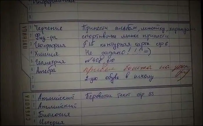 Смешные замечания в школьных дневниках Смешные замечания в школьных дневниках