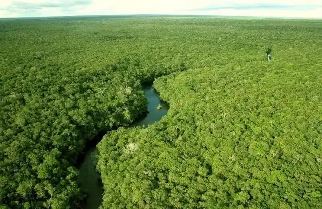 Фотоэкскурсия по нетронутым лесам Амазонки