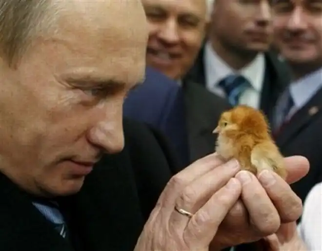 ВВП ВВП