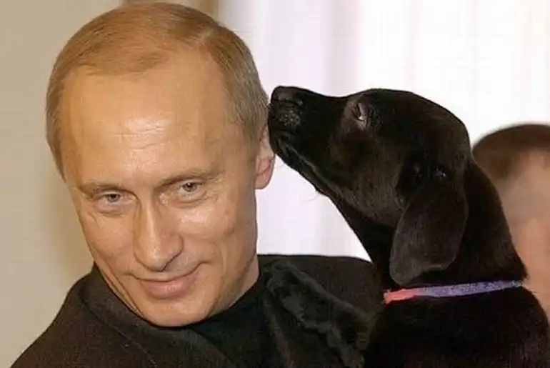 ВВП ВВП