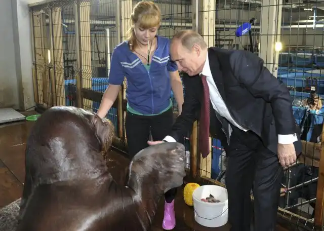 ВВП ВВП
