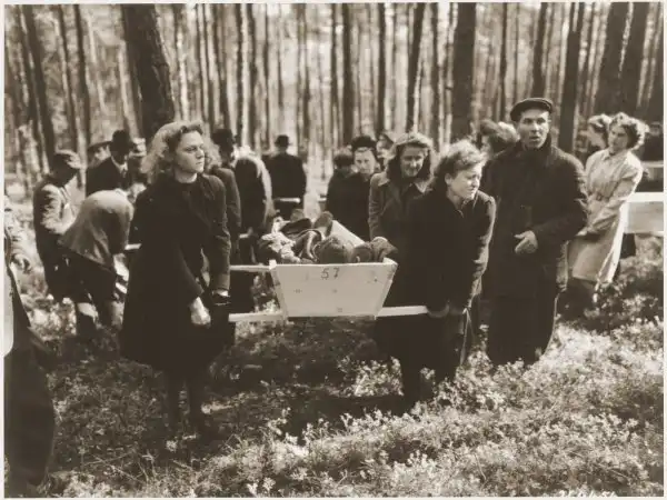 Уроки денацификации