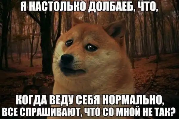 приколюхи разные
