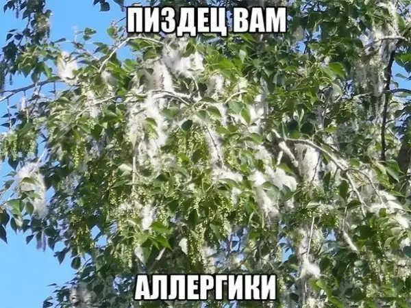 приколюхи разные