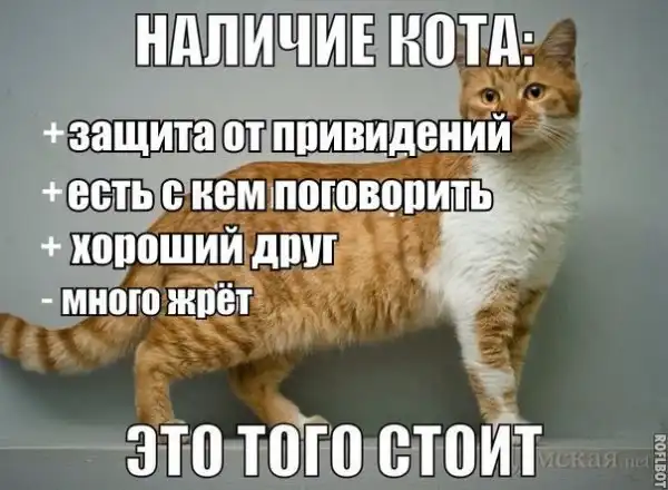 Картинко-комикс-микс
