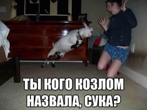 Юморопост № 2