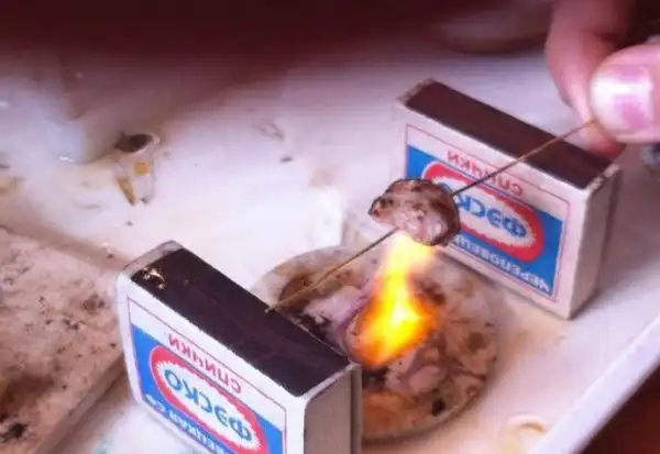 Картинки про шашлыки