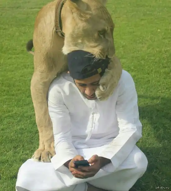 Араб ухаживает за Львом