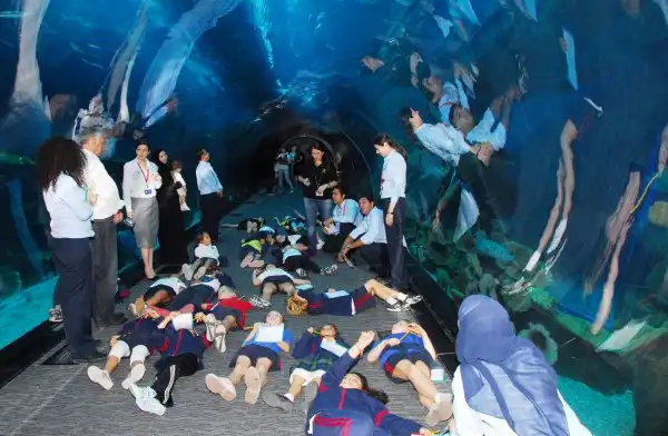 Дубайский аквариум (Aquarium of the Dubai mall)