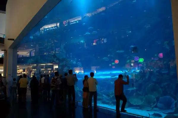 Дубайский аквариум (Aquarium of the Dubai mall)