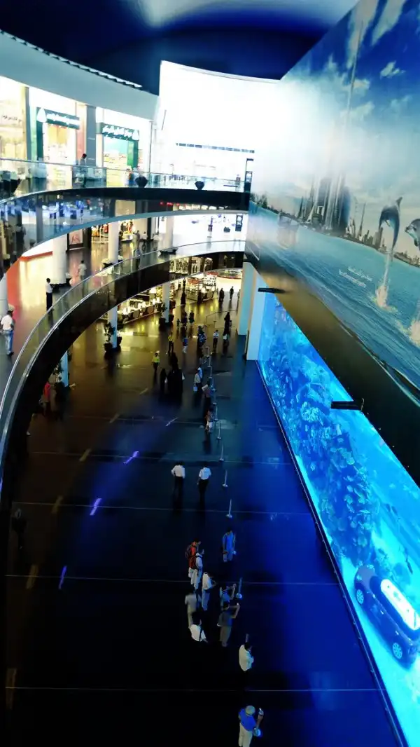 Дубайский аквариум (Aquarium of the Dubai mall)