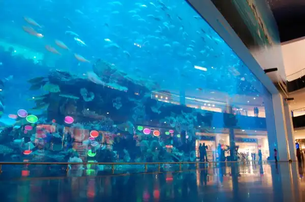 Дубайский аквариум (Aquarium of the Dubai mall)
