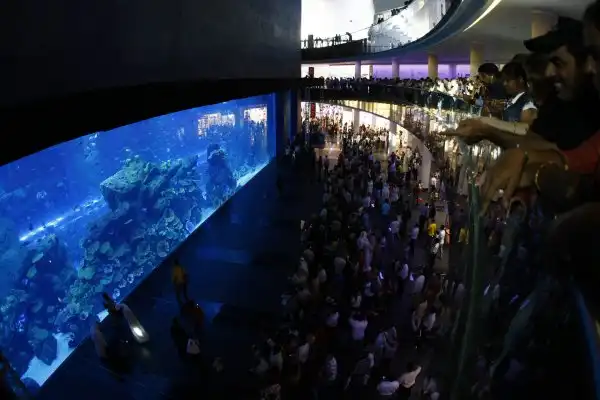 Дубайский аквариум (Aquarium of the Dubai mall)