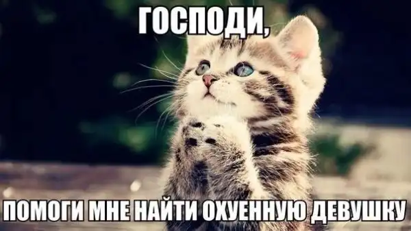 Всячина и разности