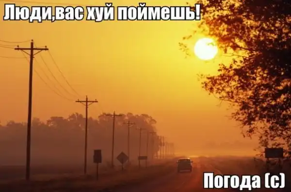 Всячина и разности
