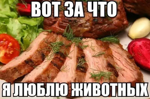 Разные весёлые картинки