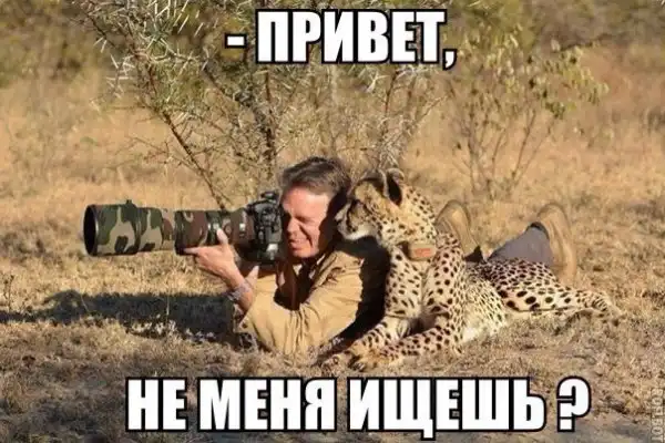 Разные весёлые картинки