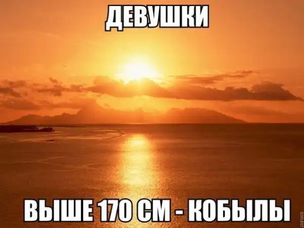 Разные весёлые картинки