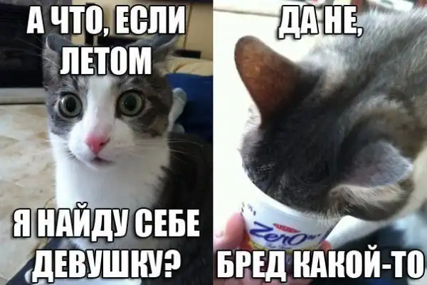 Разные весёлые картинки