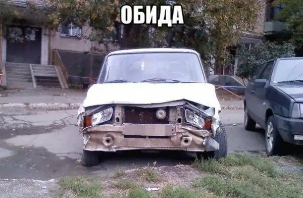 Прикольные картинки