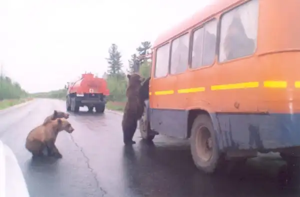 Welcome To Russia