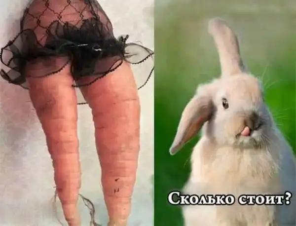 немного приколюх разных