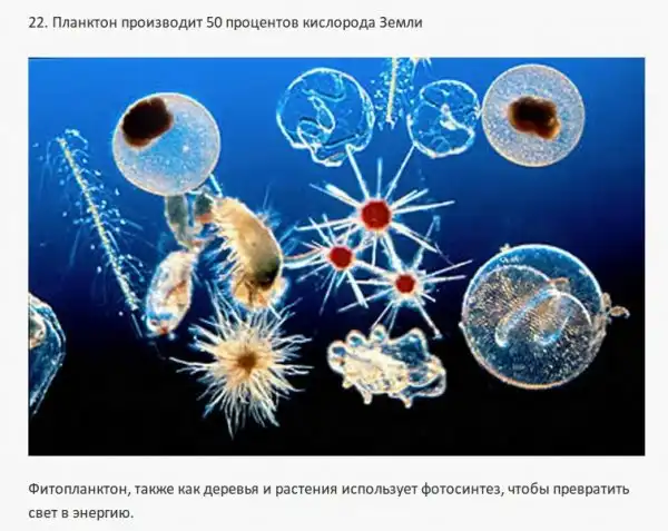 Интересные факты о разном