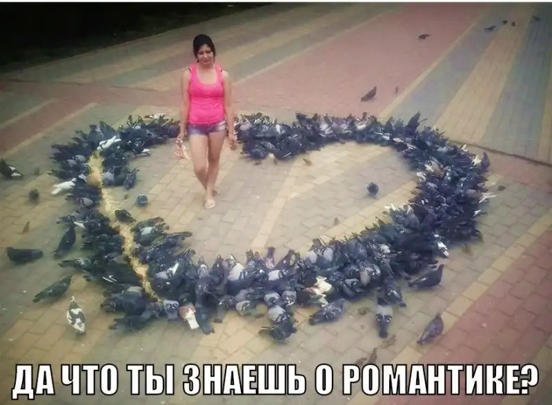 Разнообразная подборка =)