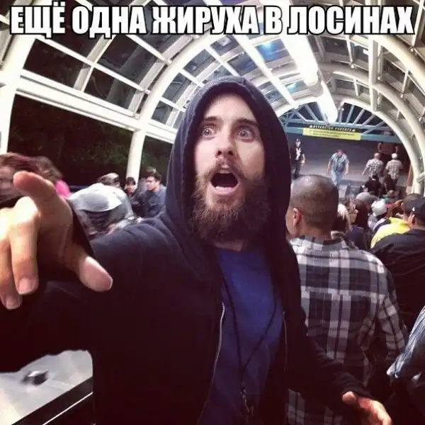 Толстота-милота
